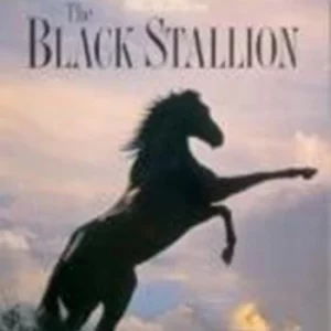 The Black Stallion Kelly Reno 2003 DVD Top-quality Free UK shipping
