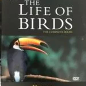 The Life of Birds David Attenborough 2000 DVD Top-quality Free UK shipping