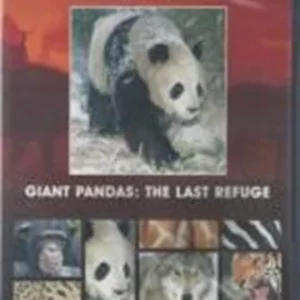 Giant Pandas: The Last Refuge 2004 DVD Top-quality Free UK shipping