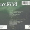 A Taste Of Ireland Vol.2 various 2001 CD Top-quality Free UK shipping