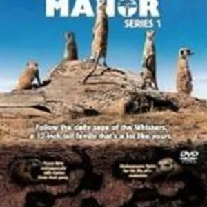 Meerkat Manor : Series 1 Bill Nighy 2006 DVD Top-quality Free UK shipping