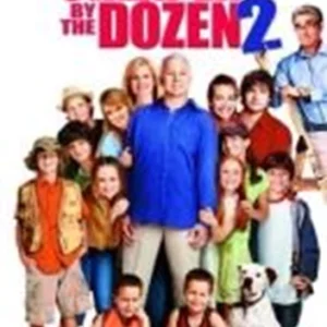 Cheaper By The Dozen 2 Steve Martin 2006 DVD Top-quality Free UK shipping