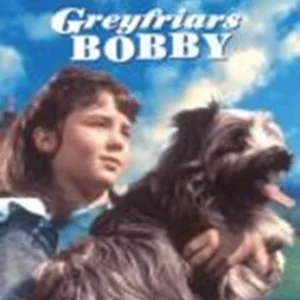 Greyfriars Bobby Donald Crisp 2006 DVD Top-quality Free UK shipping