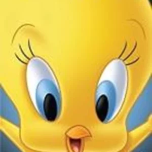 Tweety Pie and Friends 2012 DVD Top-quality Free UK shipping