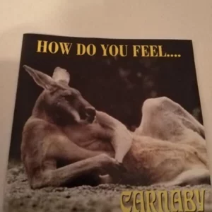 How Do You Feel Carnaby 1997 CD Top-quality Free UK shipping