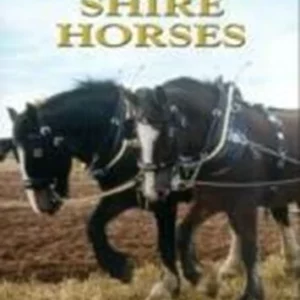 Working Shire Horses Anne Williams 2004 DVD Top-quality Free UK shipping