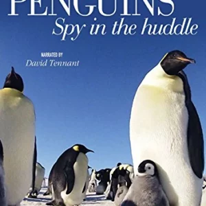 Penguins - Spy in the Huddle David Tennant 2013 DVD Top-quality