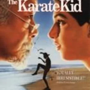 The Karate Kid Ralph Macchio 1984 DVD Top-quality Free UK shipping