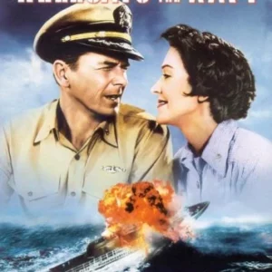 Hellcats Of The Navy Ronald Reagan 2005 DVD Top-quality Free UK shipping