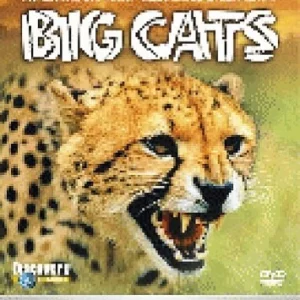 Big Cats 2007 DVD Top-quality Free UK shipping