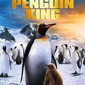 The Penguin King David Attenborough 2012 DVD Top-quality Free UK shipping