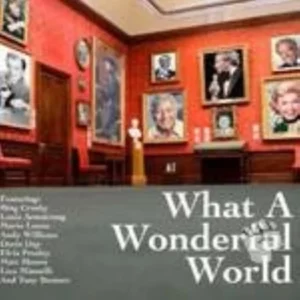 What a Wonderful World Various Artists 2007 CD Top-quality Free UK shipping