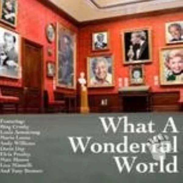 What a Wonderful World Various Artists 2007 CD Top-quality Free UK shipping