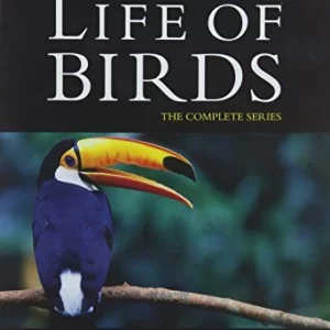 The Life of Birds 2012 DVD Top-quality Free UK shipping