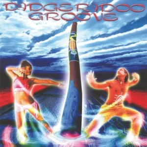 Didgeridoo Groove Various 2003 CD Top-quality Free UK shipping