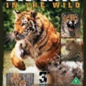 Big Cats DVD Top-quality Free UK shipping