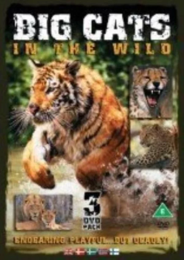 Big Cats DVD Top-quality Free UK shipping