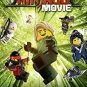 The LEGO Ninjago Movie 2017 DVD Top-quality Free UK shipping