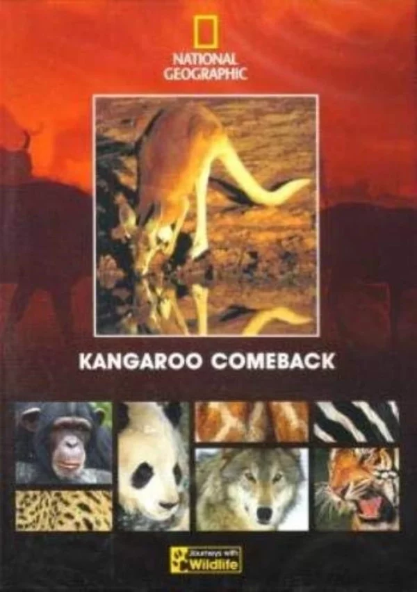 Kangaroo Comeback 1998 DVD Top-quality Free UK shipping