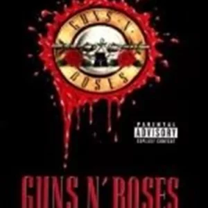 Guns 'n' Roses: Welcome To The Videos Steven Adler 2003 DVD Top-quality