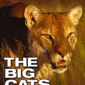 The Big Cats 2004 DVD Top-quality Free UK shipping