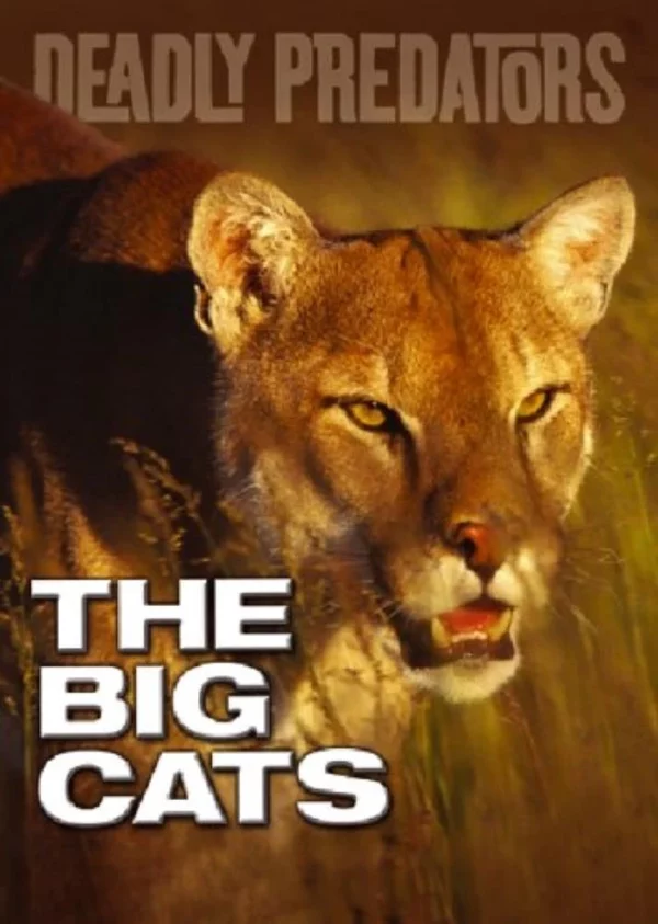 The Big Cats 2004 DVD Top-quality Free UK shipping