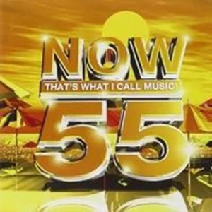 Now That's What I Call Music Vol. 55 Various Artists 2003 CD Top-quality