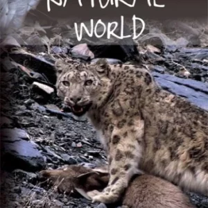 Natural World - Snow Leopard 2008 DVD Top-quality Free UK shipping