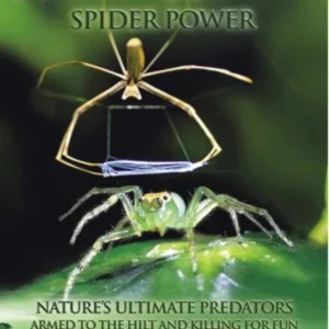 Animal Nation - Spider Power 2007 DVD Top-quality Free UK shipping