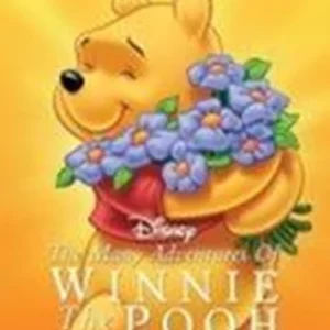 Winnie The Pooh The Many Adventures Of Winnie The Pooh Special Edition 2002 DVD