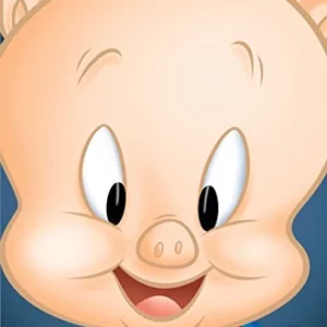 Porky Pig and Friends 2012 DVD Top-quality Free UK shipping