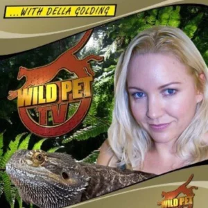 A Guide to Keeping Lizards Della Golding 2010 DVD Top-quality Free UK shipping