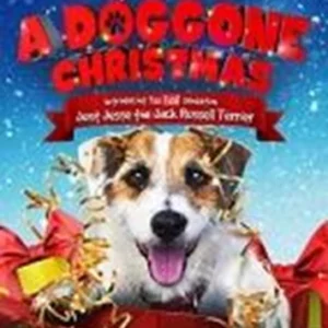 A Doggone Christmas Jaret Sacrey 2018 New DVD Top-quality Free UK shipping