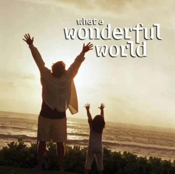 What a Wonderful World Various Artists 2003 CD Top-quality Free UK shipping