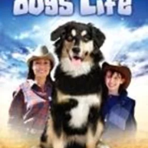 It's A Dog's Life Peter Brown 2010 DVD Top-quality Free UK shipping