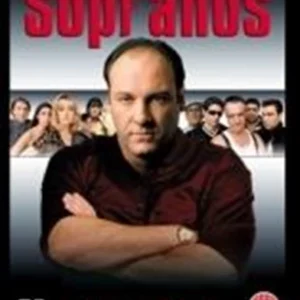 The Sopranos: Complete HBO Season 1 James Gandolfini 2003 DVD Top-quality