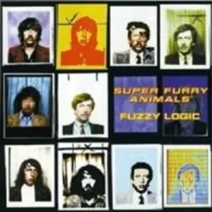 Fuzzy Logic Super Furry Animals 2000 CD Top-quality Free UK shipping