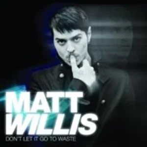 Don't Let It Go To Waste Matt Willis 2006 CD Top-quality Free UK shipping