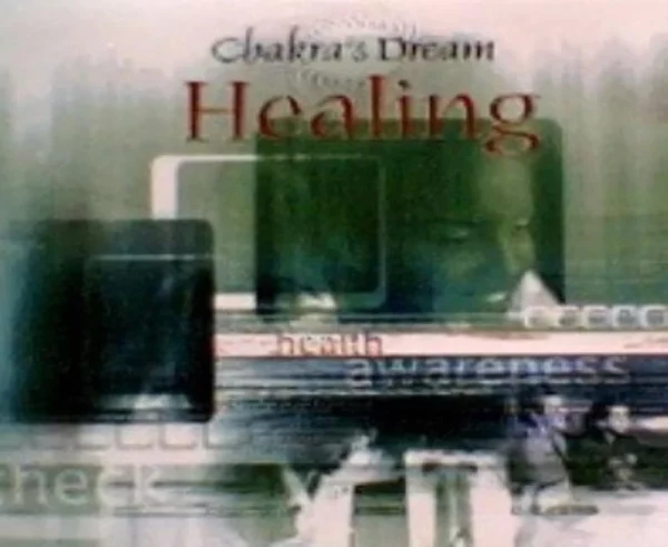 Chakra's Dream: Healing Chakra's Dream 2008 CD Top-quality Free UK shipping