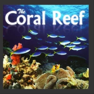 The Coral Reef Coral Reef 2013 CD Top-quality Free UK shipping