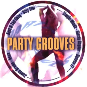 Party Grooves various 1999 CD Top-quality Free UK shipping