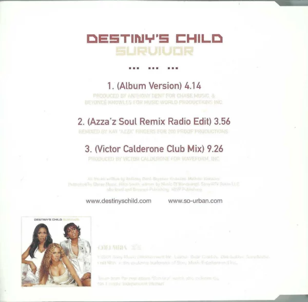 Survivor Destiny's Child 2001 CD Top-quality Free UK shipping