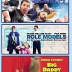 3 Film Box Set: Grown Ups / Big Daddy / Role Models Adam Sandler 2011 DVD