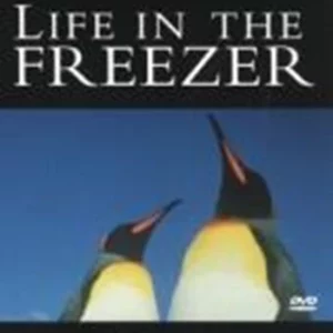 David Attenborough - Life in the Freezer 2002 DVD Top-quality Free UK shipping