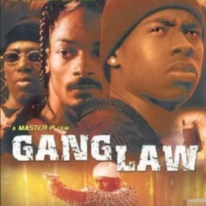 Gang Law Gary Busey 2002 DVD Top-quality Free UK shipping