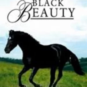 Black Beauty Mark Lester 1971 DVD Top-quality Free UK shipping