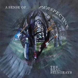 A Sense of Perspective The Real Stingrays 2013 New CD Top-quality