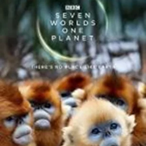 Seven Worlds, One Planet Sir David Attenborough 2019 DVD Top-quality