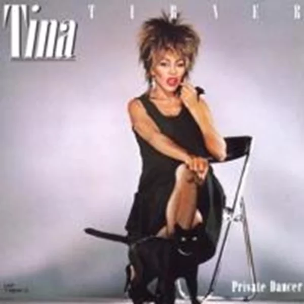 Private Dancer Tina Turner 1995 CD Top-quality Free UK shipping