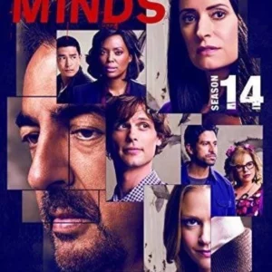 Criminal Minds: Season 14 Matthew Gray Gubler 2019 New DVD Top-quality